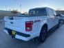 2017 Oxford White Ford F-150 XLT (1FTEW1EG8HF) with an EcoBoost 3.5L Twin Turbo V6 375hp 470ft. lbs. engine, Automatic transmission, located at 842 E South Street, Powell, WY, 82435, (307) 754-7289, 44.752300, -108.746933 - Photo#2