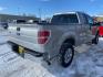 2011 Ingot Silver Metallic Ford F-150 XL (1FTFX1EF1BF) with an 5.0L Flex Fuel V8 360hp 380ft. lbs. engine, Automatic transmission, located at 842 E South Street, Powell, WY, 82435, (307) 754-7289, 44.752300, -108.746933 - Photo#2