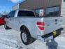 2011 Ingot Silver Metallic Ford F-150 XL (1FTFX1EF1BF) with an 5.0L Flex Fuel V8 360hp 380ft. lbs. engine, Automatic transmission, located at 842 E South Street, Powell, WY, 82435, (307) 754-7289, 44.752300, -108.746933 - Photo#3