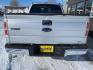 2011 Ingot Silver Metallic Ford F-150 XL (1FTFX1EF1BF) with an 5.0L Flex Fuel V8 360hp 380ft. lbs. engine, Automatic transmission, located at 842 E South Street, Powell, WY, 82435, (307) 754-7289, 44.752300, -108.746933 - Photo#19