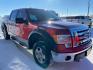 2009 Royal Red Clearcoat Metallic Ford F-150 XL (1FTPW14V19F) with an Triton 5.4L Flex Fuel V8 320hp 390ft. lbs. engine, Automatic transmission, located at 842 E South Street, Powell, WY, 82435, (307) 754-7289, 44.752300, -108.746933 - Photo#1