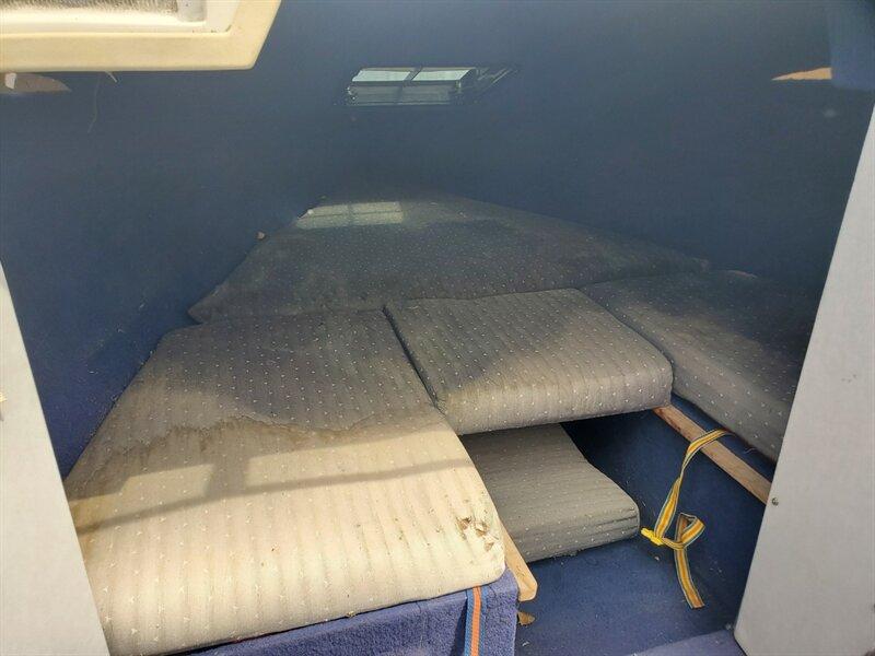 1988 Blue Bayliner Capri 19' (BL3C80CK178) with an 5.0 L engine, located at 842 E South Street, Powell, WY, 82435, (307) 754-7289, 44.752300, -108.746933- Photo#11