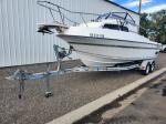 1990 RENKEN 2286 22' 